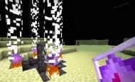 Respawning the ender dragon (Image via mygamesetup)